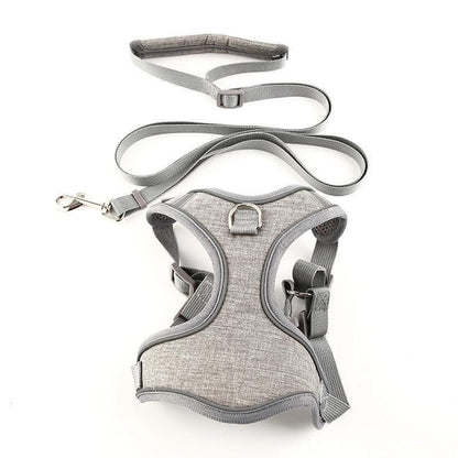 Vibrant Vest-Style Pet Leash For Cats And Dogs-4